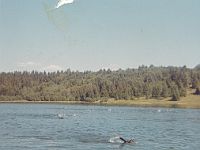 0040 - 1970, Vorma, finnesvømming