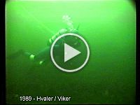 1989-09-23 hvaler, viker