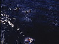 063 - EDK Rødehavet 1996  EDK, Rødehavet 1996