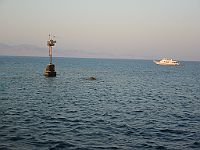 1190  Rødehavet 2004