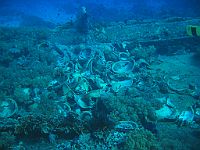 1340  Rødehavet, Shark & Yolanda reef 2004