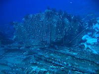 1400  Rødehavet, Shark & Yolanda reef 2004