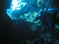 1430  Rødehavet, Shark & Yolanda reef 2004