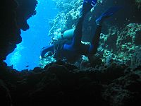 1440  Rødehavet, Shark & Yolanda reef 2004