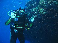 1450  Rødehavet, Shark & Yolanda reef 2004