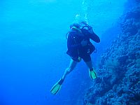 2580  Rødehavet, Thomas reef 2004