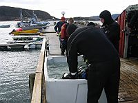 img 0011  Stokkøya sjøsportsenter 2005