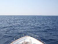 0356  Rødehavet 2008