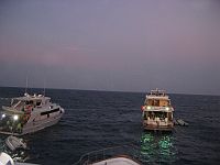 0860  Rødehavet 2008