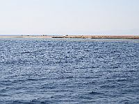 1280  Rødehavet 2008