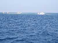 1698  Rødehavet 2008