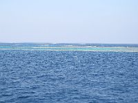 1704  Rødehavet 2008