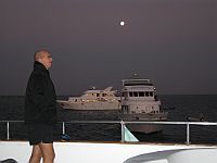 1804  Rødehavet 2008