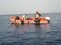 11490  Sudan/Rødehavet 2010