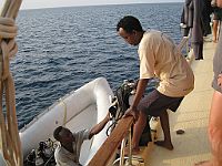11780  Sudan/Rødehavet 2010