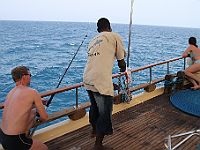 13770  Sudan/Rødehavet 2010