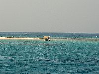 13990  Sudan/Rødehavet 2010