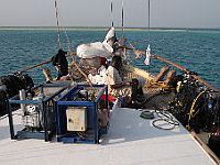 14010  Sudan/Rødehavet 2010