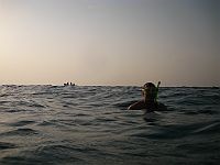 14030  Sudan/Rødehavet 2010