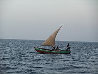 17850  Sudan/Rødehavet 2010